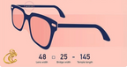 EC Retro Sunnies [Pre-Order]